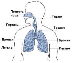 Ложноастматические синдромы 