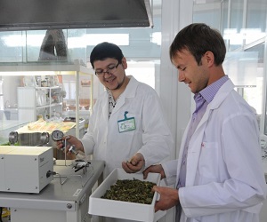 Ученые Алтая нашли новый способ лечения хронических заболеваний